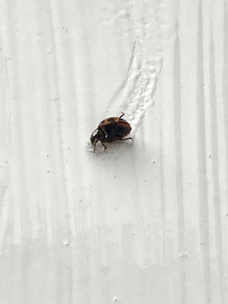 18 подтверждений того, что судьба ещё та злодейка и может предательски отомстить