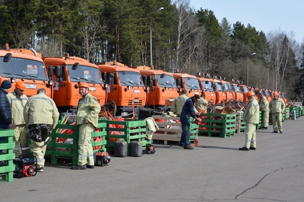 Зеленоград готовится к летнему сезону