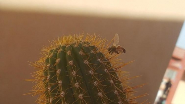 18 подтверждений того, что судьба ещё та злодейка и может предательски отомстить