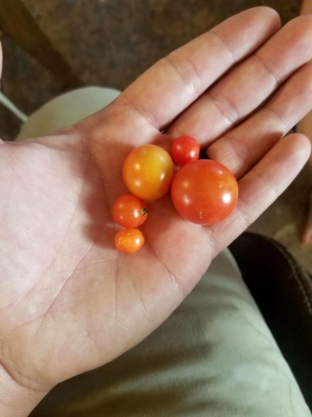 18 подтверждений того, что судьба ещё та злодейка и может предательски отомстить