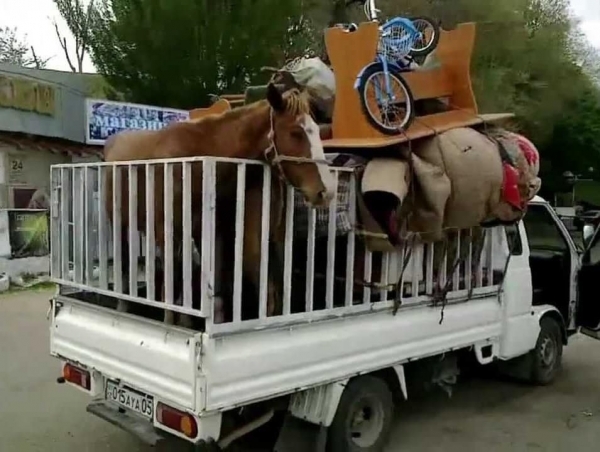 17 уморительных фотографий о том как «правильно» нужно транспортировать вещи