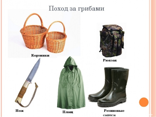 Ходить в лес надо осторожно
