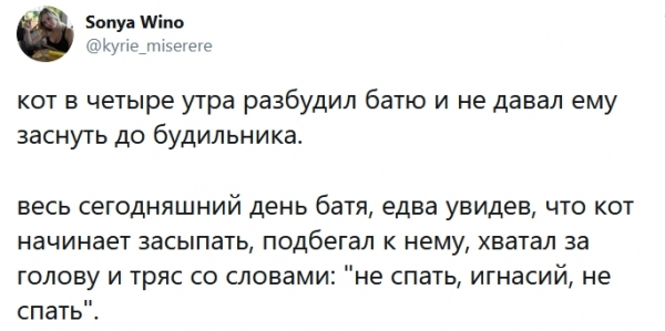 19 шалостей, на которые способны отцы, чтобы в семье никогда не было скучно