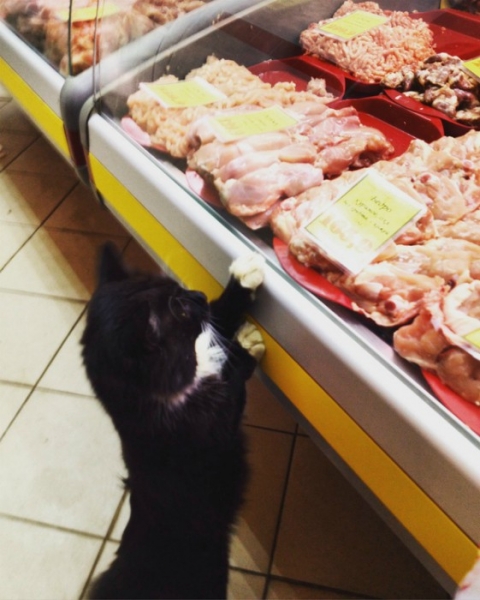 15 прикольных вывесок и объявлений в продуктовых магазинах, которые непременно поднимут настроение