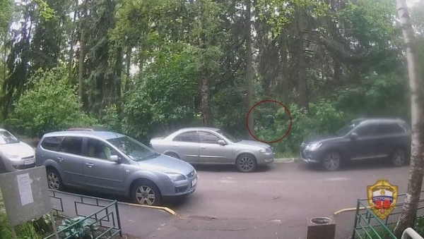 Зеленоградец отомстил сотрудникам развлекательного заведения, обвинив их в избиении и краже