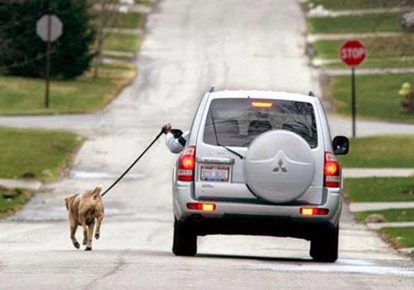 20 лоботрясов, прожигающих свое свободное время впустую, чья лучшая подруга — это лень