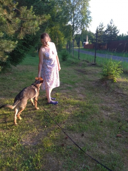 Выпускницы зеленоградского приюта для животных передают привет