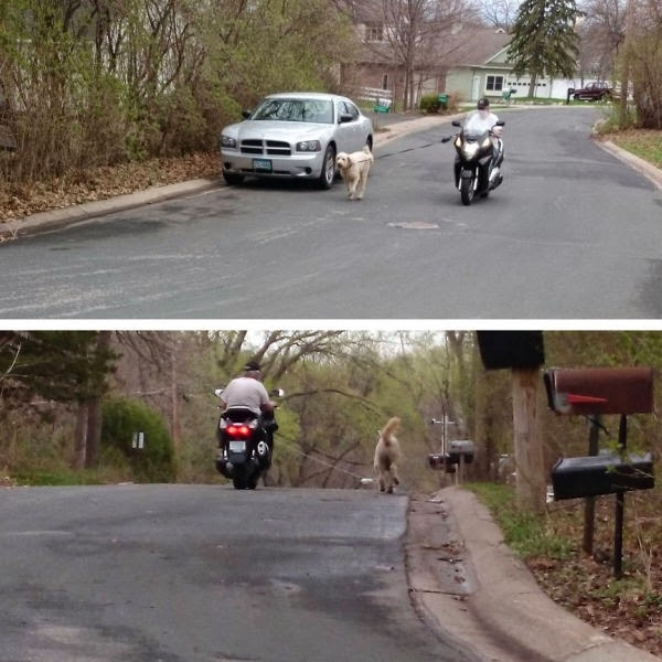 20 лоботрясов, прожигающих свое свободное время впустую, чья лучшая подруга — это лень