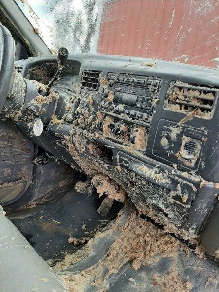 30 примеров того, как выглядит неудачный день автовладельца