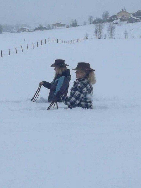 18 абсурдных фотографий, на которых запечатлены люди, не ведающие, что творят