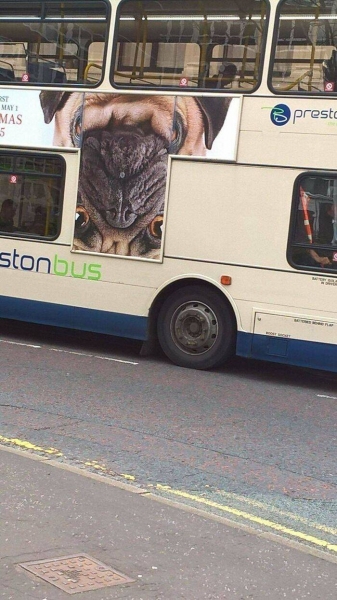 12 лоботрясов, которые не справились со своими обязанностями и им за это не стыдно