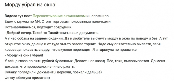 18 бедолаг, которые попали в неудобное положение