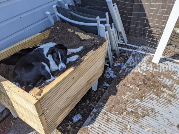 15 случаев, произошедших с людьми, после которых им ничего уже не страшно