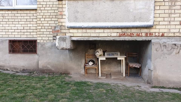 20 «умельцев», которые украсили подъезды и дворы тем, что попалось под руку