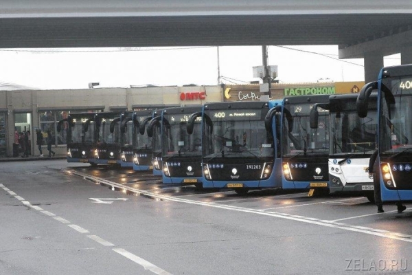 Компенсационный автобусный маршрут в Крюково необходим