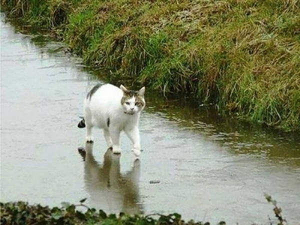 20 фото, которые бросают вызов законам физики