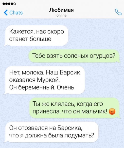 18 забавных SMS-сообщений, которые получили мужья от жен и чуть не померли со смеху