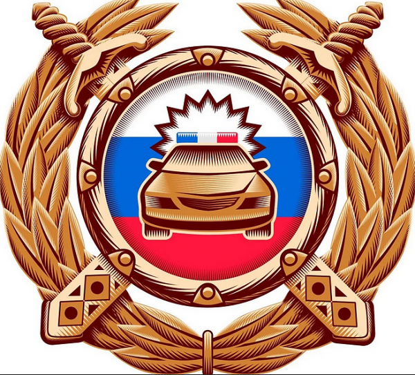 В Зеленограде сотрудники ГИБДД задержали подозреваемых в использовании поддельных документов 