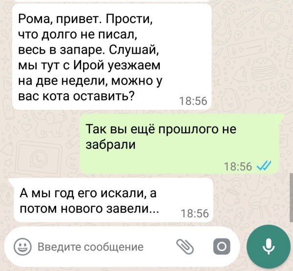 12 прикольных смс-диалогов, которые анекдотично закончились