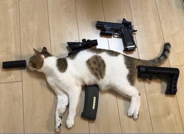 19 абсурдных фото, глядя на которые возникает слишком много вопросов