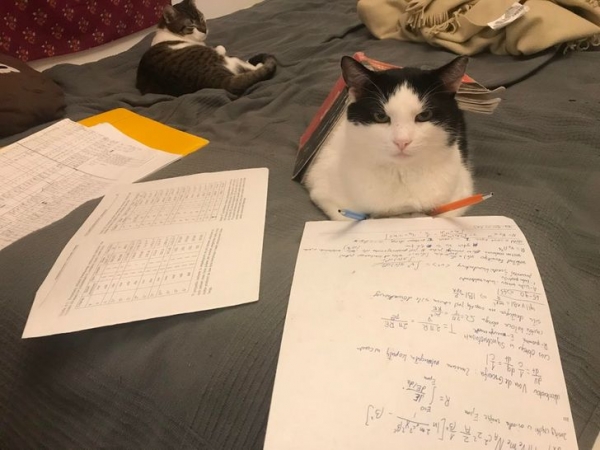 20 иллюстраций студенческой жизни, глядя на которые возникают приятные воспоминания по тому времени