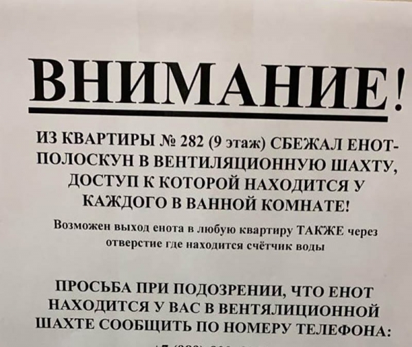 16 креативных объявлений, мимо которых вряд ли кто-то сможет пройти, не обратив внимание