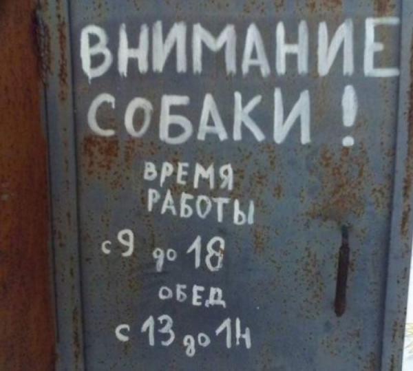 18 веселых картинок, задающие отличное настроение с самого утра