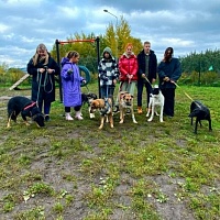 Зеленоградский приют для животных посетили ученики школы «Светлые горы»