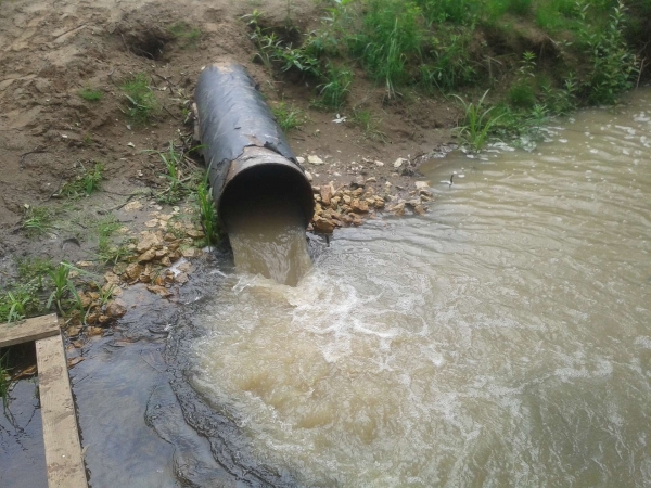 В водохранилище вблизи Зеленограда смывали сточные воды