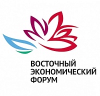 ГК «Элемент» приняла активное участие в ВЭФ 
