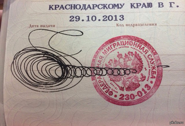20 паспортов, в которых люди поставили креативные подписи