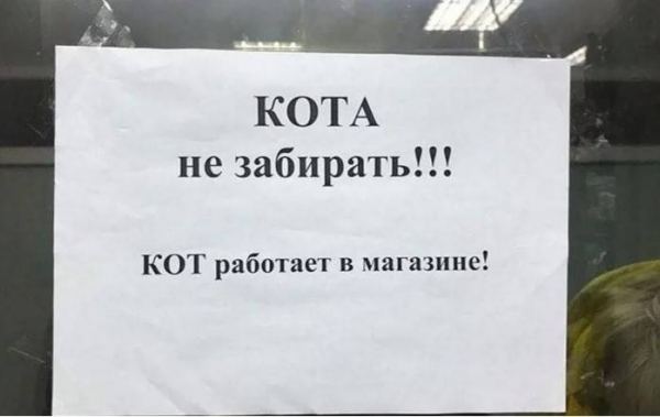 16 креативных объявлений, мимо которых вряд ли кто-то сможет пройти, не обратив внимание