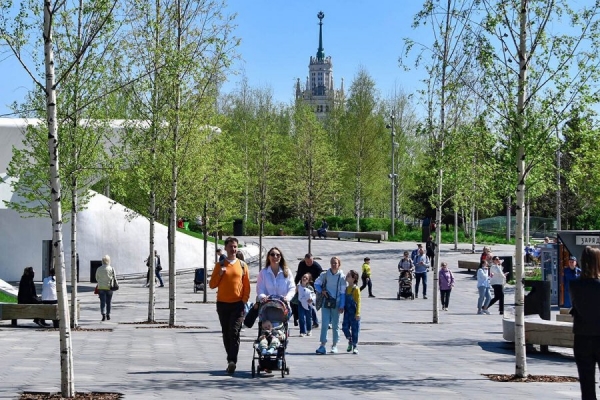 Сенатор Святенко: Поддержка молодых москвичей до 35 лет в сфере занятости решит проблему трудоустройства