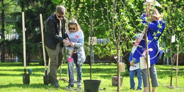 В Зеленограде высадят 190 именных деревьев
