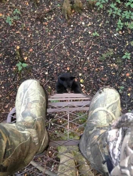 17 эпичных фотографий неудачного дня, глядя на которые очень хочется смеяться, хоть и стыдно
