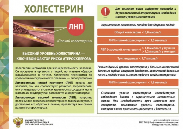 День пожилого человека - ГКБ Кончаловского