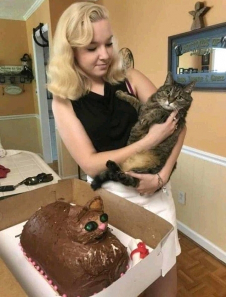 19 абсурдных фото, глядя на которые возникает слишком много вопросов