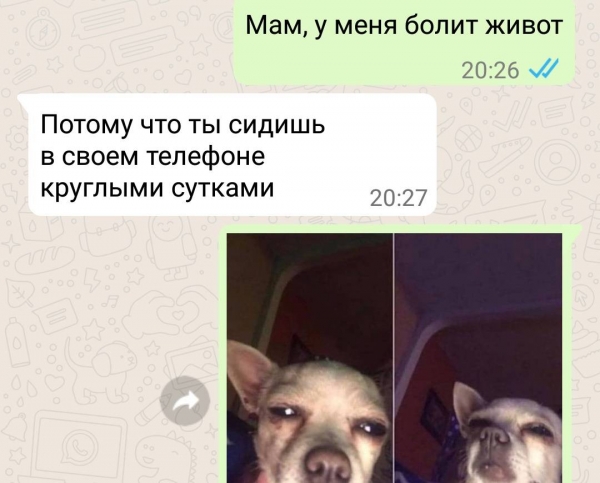 12 забавных СМС, читая которые можно сказать, что у людей с чувством юмора все в порядке