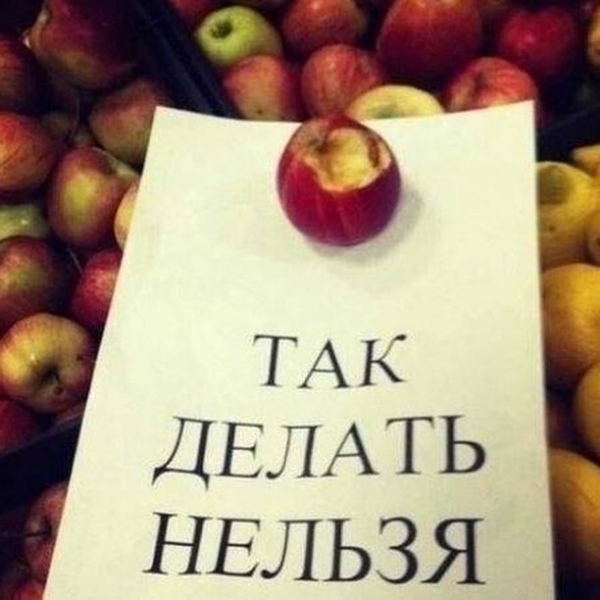 16 объявлений, которые заставляют усомниться в адекватности