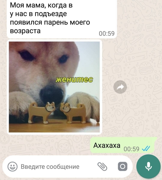 12 забавных СМС, читая которые можно сказать, что у людей с чувством юмора все в порядке
