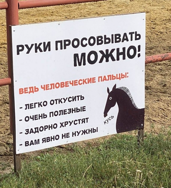 15 информационных объявлений, читая которые можно обхохотаться
