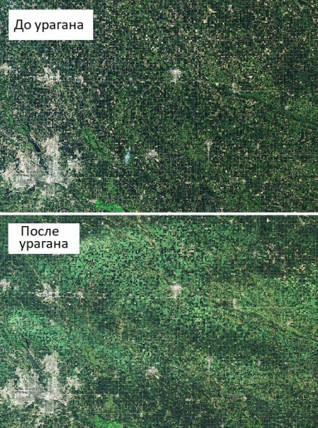 12 очевидных подтверждений от НАСА, доказывающих, как изо дня в день гибнет наша планета