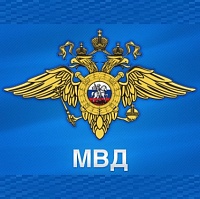 Полицейские Зеленограда задержали подозреваемую в краже в крупном размере