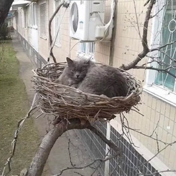 16 людей, которые сохраняют невозмутимость даже в реально абсурдных ситуациях