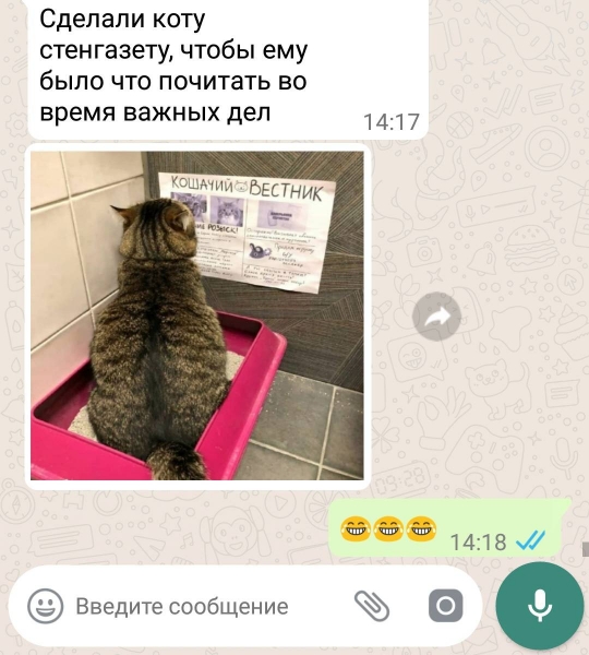 12 примеров улетных SMS-сообщений, которые смело можно разбивать на цитаты