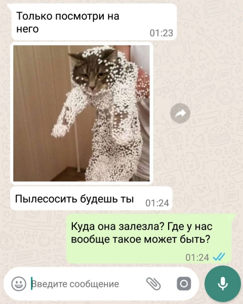 12 забавных СМС-переписок, которые могут рассмешить любого