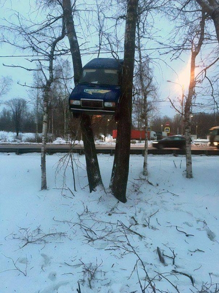 12 неадекватных водителей, которые непредсказуемо ведут себя на дороге