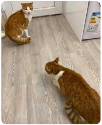 14 фото, глядя на которые так и хочется сказать: «Это невозможно!»
