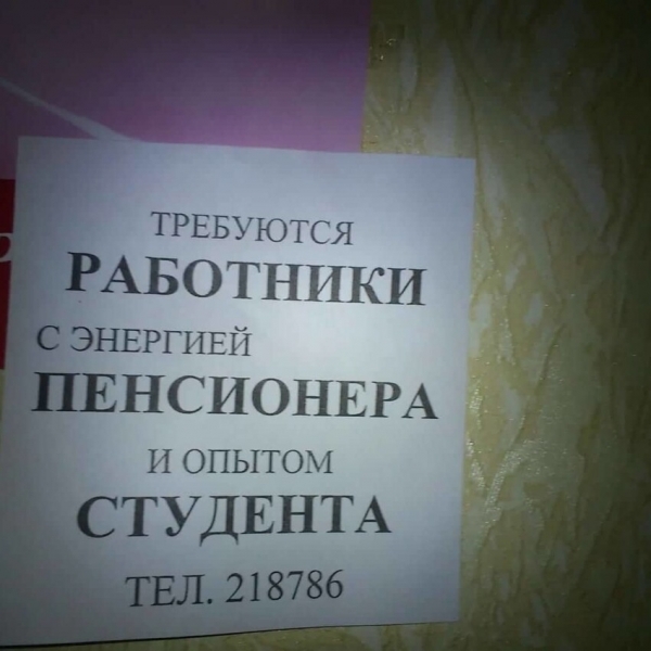 16 объявлений, которые заставляют усомниться в адекватности