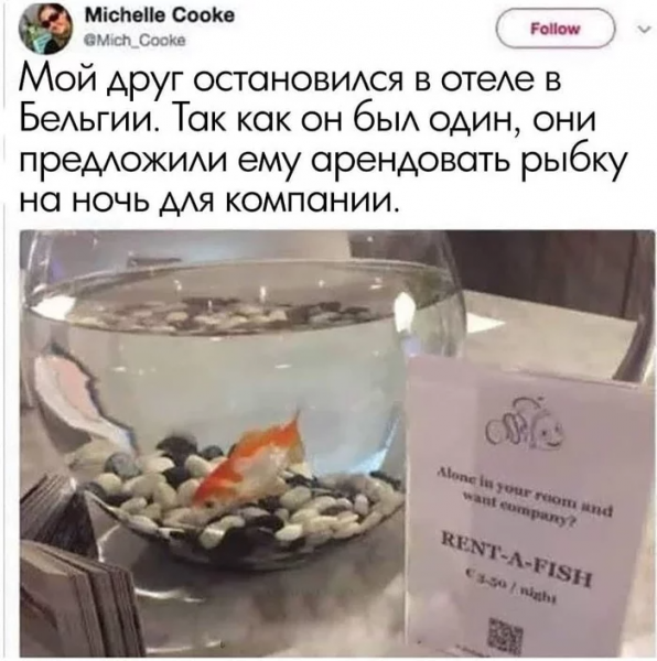 20 наглядных примеров маркетинга, при виде которых не знаешь, то ли улыбаться, то ли за голову хвататься